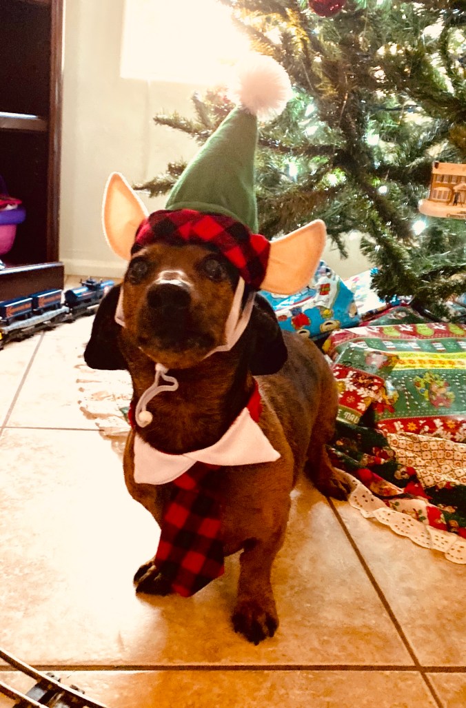 C588E1BB-F2E7-4E4C-A573-51EF66C1C541_1_201_a